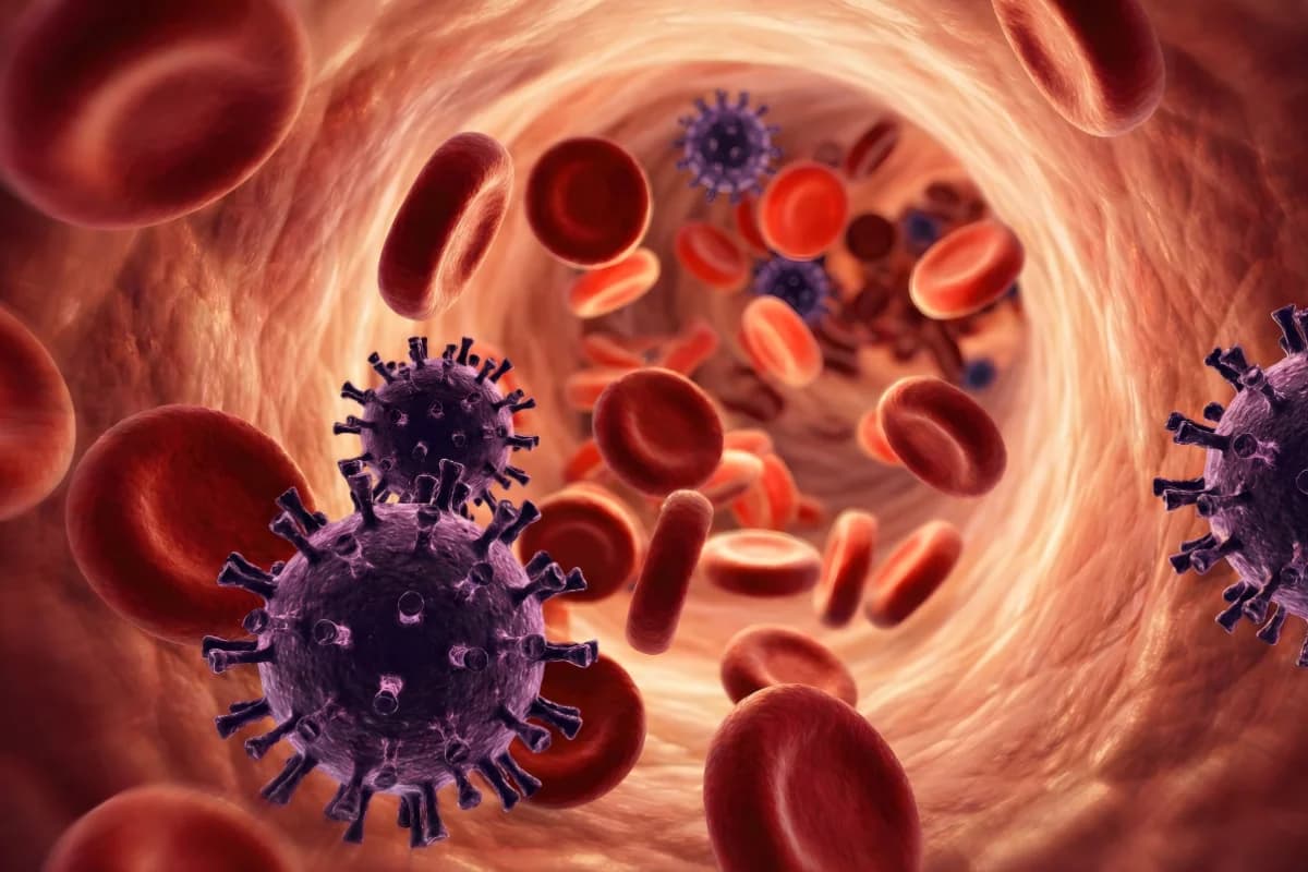Immune support consultation theme at Suraksha Homoeo Clinic